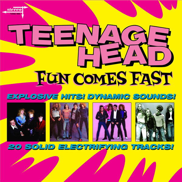 Teenage Head : Fun Comes Fast (2xLP, Comp, RM, Pin)