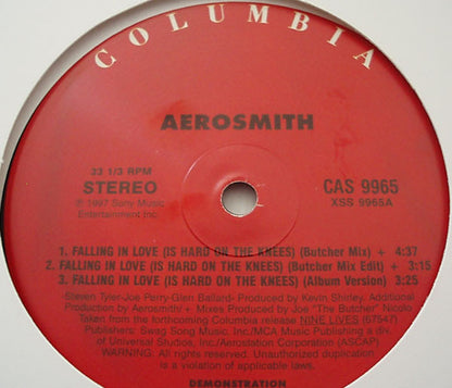Aerosmith : Falling In Love (Is Hard On The Knees) Butcher & Moby Remixes (12", Promo)