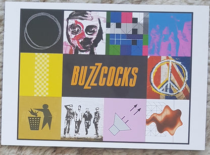 Buzzcocks : The 1991 Demo Album (LP, Album, RE, Bla)
