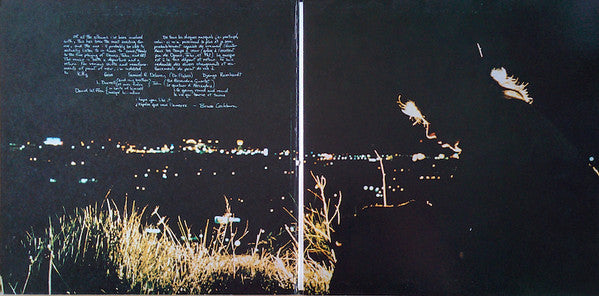 Bruce Cockburn : Night Vision (LP, Album)