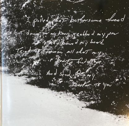 Bruce Springsteen : Letter To You (LP, 140 + LP, S/Sided, Etch, 140 + Album, Ltd, M/P)