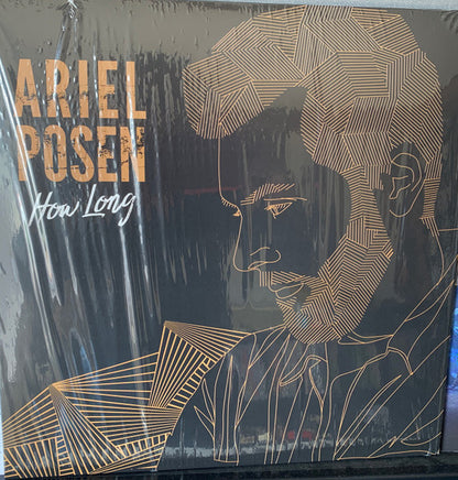 Ariel Posen : How Long (LP, Album)