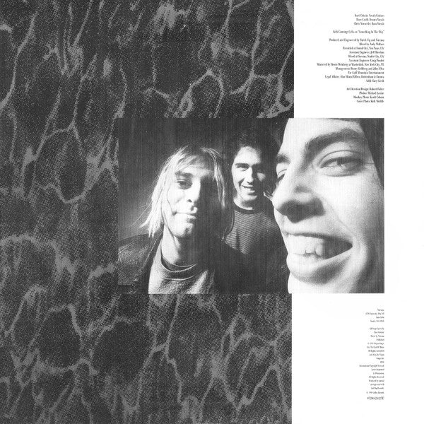 Nirvana : Nevermind (LP, Album, RE, RM, 180)
