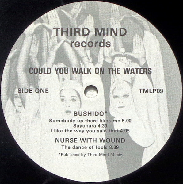 Various : Could You Walk On The Waters (LP, Comp)