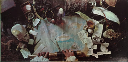 The Flock : Dinosaur Swamps (LP, Album)