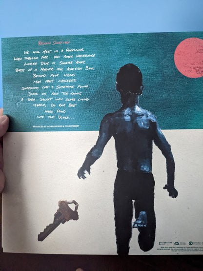 Bedouin Soundclash : We Will Meet In A Hurricane  (LP, Album, Ltd, Pea)