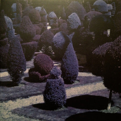 George Harrison : Brainwashed (LP, Album, Gat)