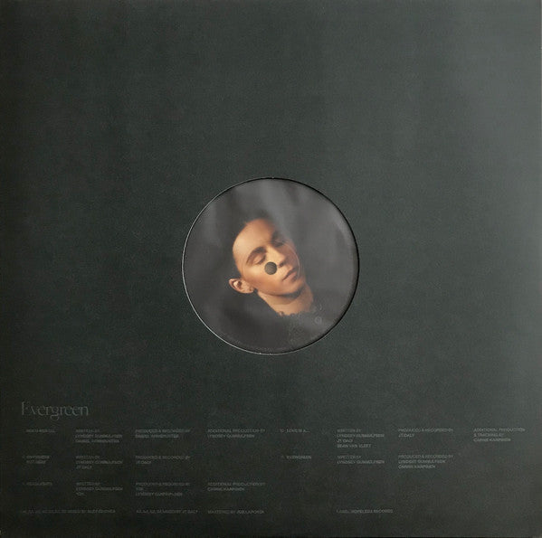 Pvris : Evergreen (LP, Album, Gre)