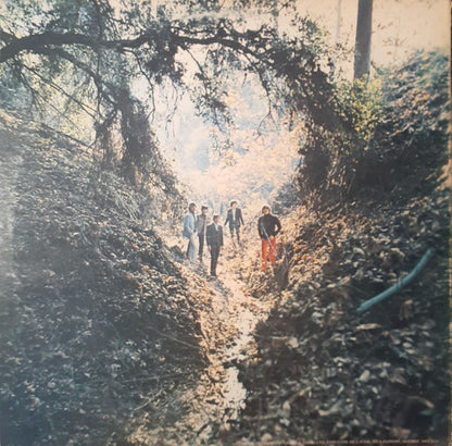 The Rolling Stones : Big Hits (High Tide And Green Grass) (LP, Comp)