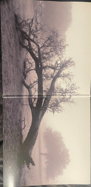 Gary Clark Jr. : JPEG RAW (LP, Bon + LP, S/Sided, Etch, Bon + Album)