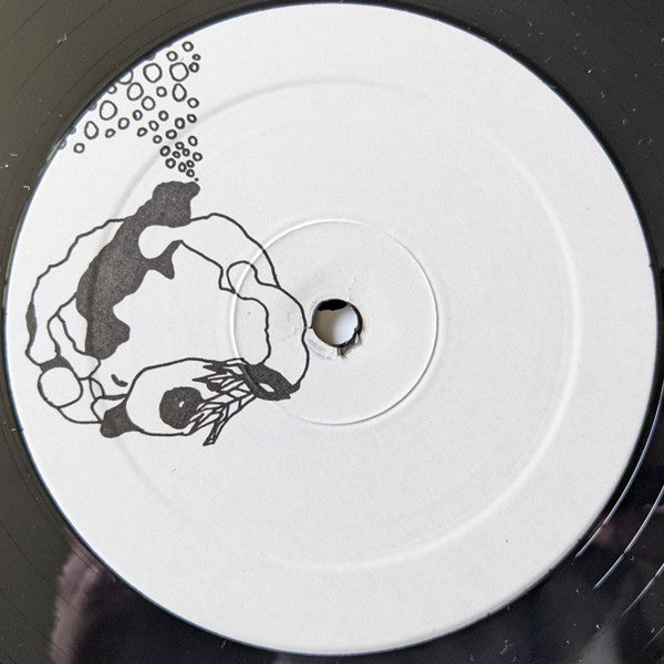 Avey Tare, Panda Bear & Geologist : Danse Manatee (LP, Album, RE)