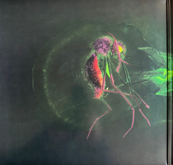 Yeah Yeah Yeahs : Mosquito (LP, Album, RP)