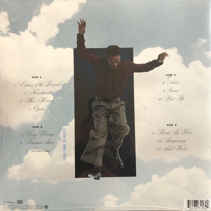 Kid Cudi : Free (2xLP, Album)