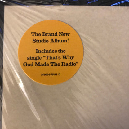 The Beach Boys : That's Why God Made The Radio (LP, Album)