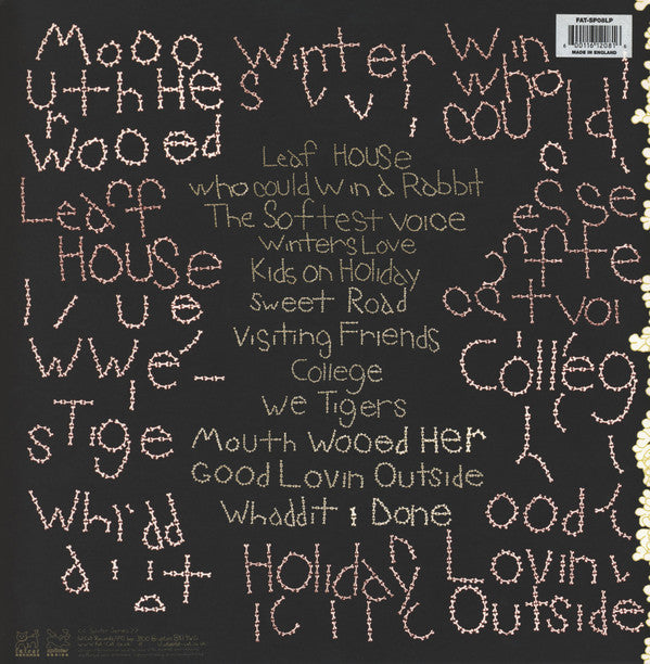 Animal Collective : Sung Tongs (2xLP, Album)