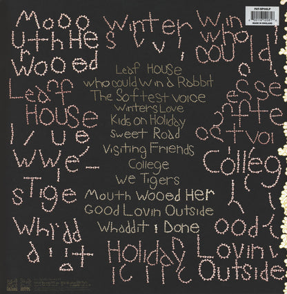 Animal Collective : Sung Tongs (2xLP, Album)