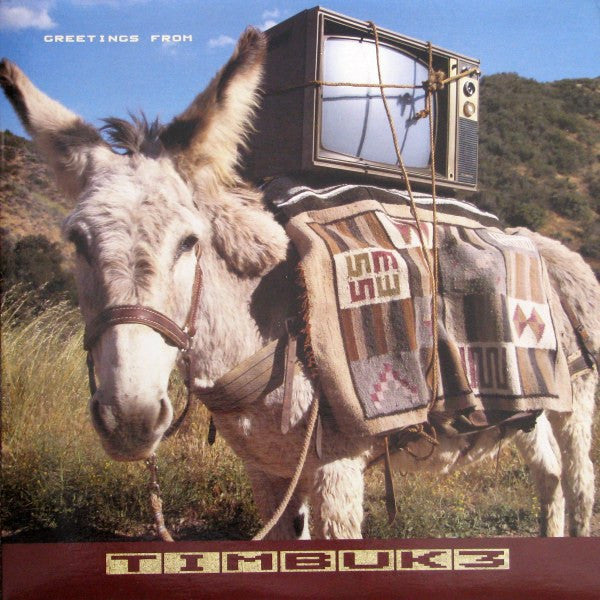 Timbuk 3 : Greetings From Timbuk 3 (LP, Album, Sil)