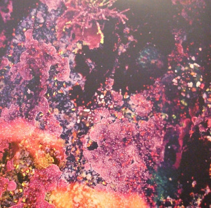 The Chris Robinson Brotherhood : Phosphorescent Harvest (LP, Ora + LP, Mar + 7" + Album)