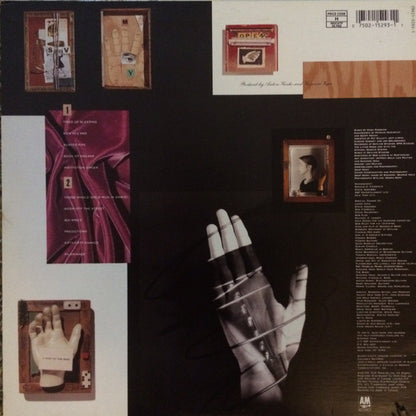 Suzanne Vega : Days Of Open Hand (LP, Album)