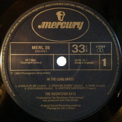 The Boomtown Rats : In The Long Grass (LP, Album)