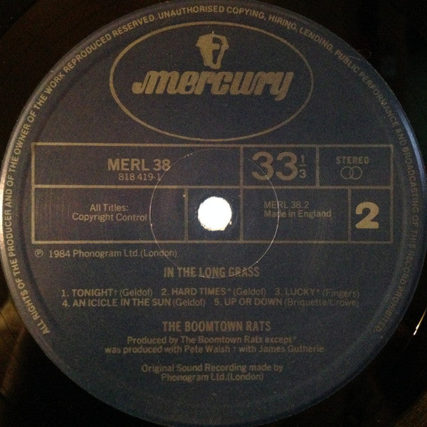 The Boomtown Rats : In The Long Grass (LP, Album)
