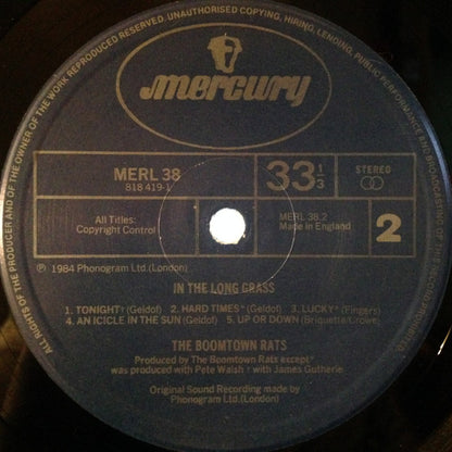 The Boomtown Rats : In The Long Grass (LP, Album)