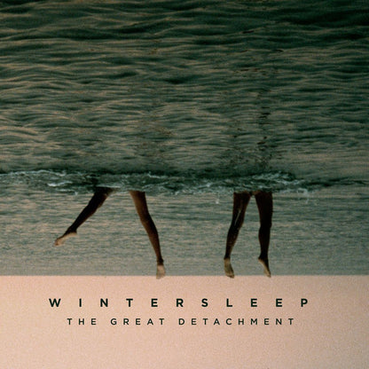 Wintersleep : The Great Detachment (LP, Album)