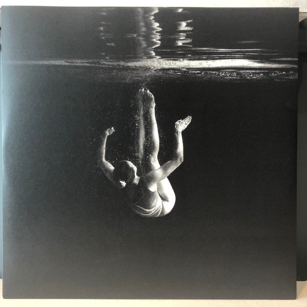 Wintersleep : The Great Detachment (LP, Album)
