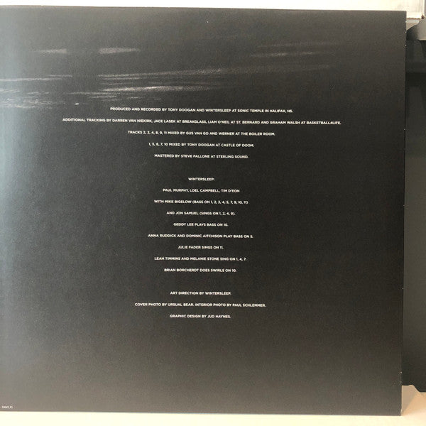 Wintersleep : The Great Detachment (LP, Album)